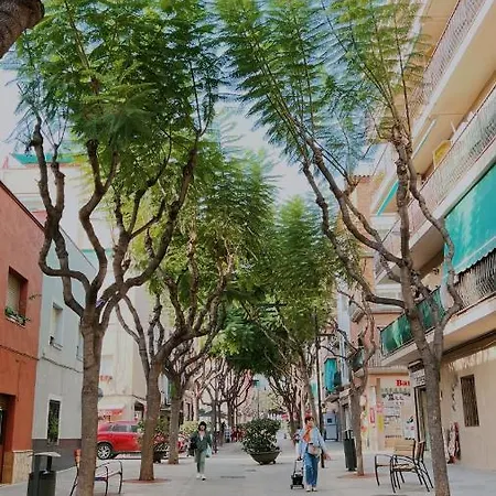 Precioso Apartamento En דירה Premia De Dalt